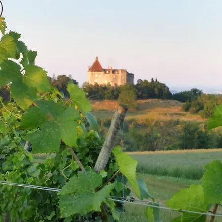 Le Du Vigneron Casa vacanze Saulcet